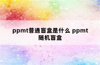 ppmt普通盲盒是什么 ppmt随机盲盒
